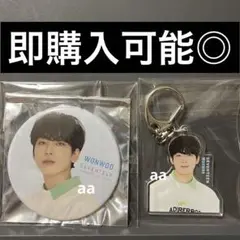 SEVENTEEN 2020 POP UP STORE ウォヌ 缶バッジアクキー