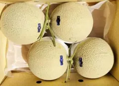 高知産 約8，4Kg～ 夜須の温室マスクメロン 4玉 ○秀品 北海道沖縄