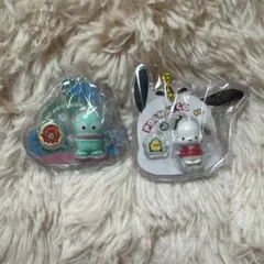 サンリオ　パッケージチャーム　ポチャッコ　ハンギョドン　2個セット