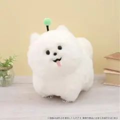 18TRIP ぬいぐるみ （しゅうまい）