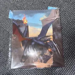 ポケモンカード 有田満弘 カードファイル バインダー　御三家　ディアルガパルキア ポケモンセンター ポケモンカード用バインダー ディアルガ パルキア