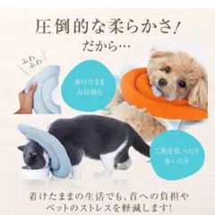 エリザベスカラー 子猫 子犬 ソフト 引っ掻き防止 オレンジ