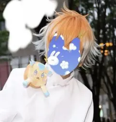 宇佐美リト 変身後 ウィッグ - メルカリ
