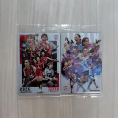バレーボール女子日本代表 2026 カード 2枚セット