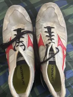 MIZUNO ウェーブエンペラージャパン4 25cmのサムネイル