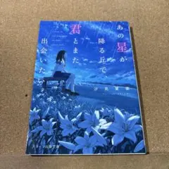 あの星が降る丘で、君とまた出会いたい。
