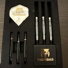 2025年最新】ロペス ダーツの人気アイテム - メルカリ