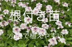 Kako様 リクエスト 2点 まとめ商品