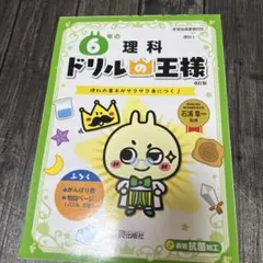 てかりん様 リクエスト 2点 まとめ商品