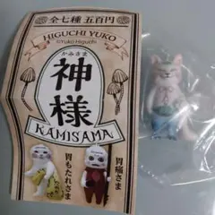 HIGUCHI YUKO 神様　膀胱炎さま