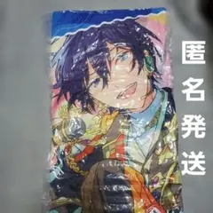 あんスタ 10th フェス 池袋GIGO エス ビッグクッション - メルカリ