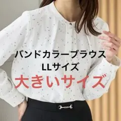 ホワイト花柄長袖ブラウス LL 大きいサイズ