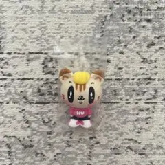 小森隼 ジェ猫 ミニフィギュア