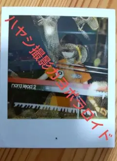 POLYSICS　超貴重カヨポラロイド、ライブグッズ、サイン、CDおまけセット 2026年最新】Kayo POLYSICSの人気アイテム - メルカリ