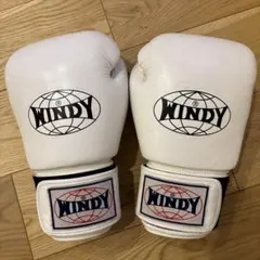 Item thumbnail for item 0b67a6ff-3162-4555-8aca-43e7e6f05046