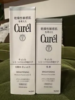 ⭐︎様専用　乾燥性敏感肌　Curélキュレル　化粧水Ⅱと乳液