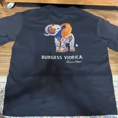 Item thumbnail for item dc79b01b-f580-4348-8a31-2c19d68a088e