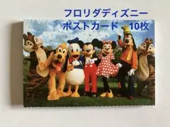 フロリダDisney Parks キャラクターポストカード 10枚セット