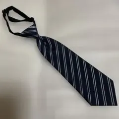 Item thumbnail for item 417c3b63-39ba-4b96-a131-554bf5749cc2