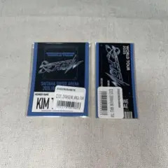 Item thumbnail for item 91818a3c-93a9-48c8-acce-ebefe3b63649