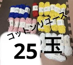 Item thumbnail for item 2152d1eb-d783-49a2-bdf0-1b28a35b95fd