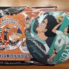ハイキュー!!BIG缶バッジコレクション 岩泉一