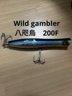 2025年最新】八咫烏 ルアーの人気アイテム - メルカリ