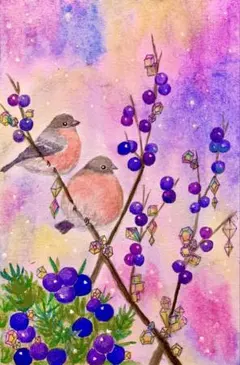 さくら様専用水彩画 仲良しなウソとジュニパー　値段は※900円です