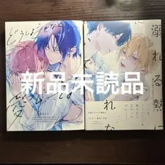 特典・ハガキ付き＞ オトメイト 薄葉カゲロー セレクション La Soiree