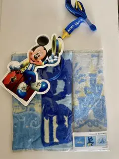 新品　ディズニーバケーションパッケージ限定　 ミニタオル3枚、ホルダーストラップ