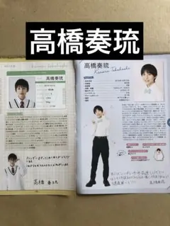 (レア) 高橋奏琉プロフィール切り抜きセット
