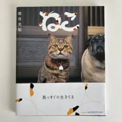 Item thumbnail for item ea08878d-6247-4bd2-ad99-e6ac814cc4c3