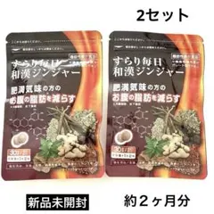 【新品】すらり毎日和漢ジンジャー 2袋 肥満気味　お腹の脂肪を減らす　カテキン