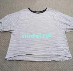 studioCLIP ストライプ 半袖Tシャツ Ｌ