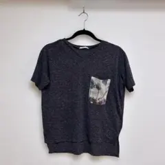 Item thumbnail for item 69e60034-3ab0-49c0-a0ce-4239ae08e882