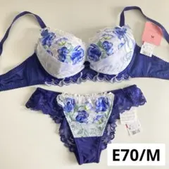 サルート 日本の花嫁 E70/M SX 03 P-upブラ ノーマルショーツ - メルカリ