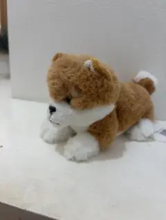 秋田犬 いいねぬいぐるみ