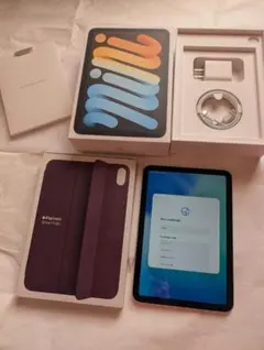 iPad mini 6世代256GB Cellular スターライト +おまけ