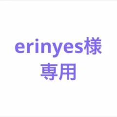 erinyes様専用