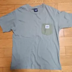 Item thumbnail for item 66bd2071-7d91-400f-8435-40466ba35940