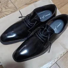 Item thumbnail for item c3103b40-8455-4918-a493-7994b55e79ab