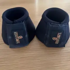 Item thumbnail for item ebbac412-4a65-491e-b6c5-684f9b20d771