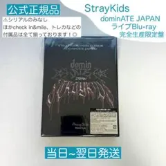 2026年最新】STRAYKIDS dominate 銀テの人気アイテム - メルカリ