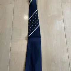 Item thumbnail for item 9c3e3713-c87b-4df3-a1f9-ab6457e607d9