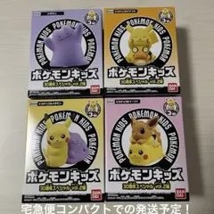 ポケモンキッズ 30周年 vol.2編 ピカチュウ　イーブイ　メタモン　デデンネ