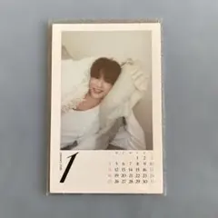 &TEAM HARUA シーグリ カレンダーチェキ