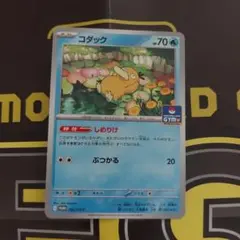 【未使用美品】コダック(PROMO 262/SV-P) しめりけ　HP70