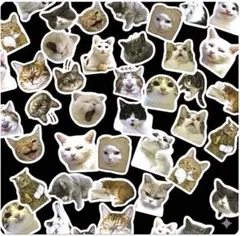 Item thumbnail for item 78b50ddf-a2c8-4e1b-97f9-ac2961b413c7