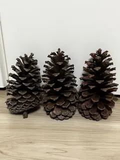 大きめ松ぼっくり 4個セット天日干し済み｜自然素材｜リース・インテリア