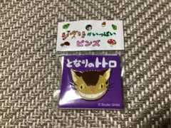 ジブリがいっぱい　ピンズ　となりのトトロ　ネコバス　スタジオジブリ